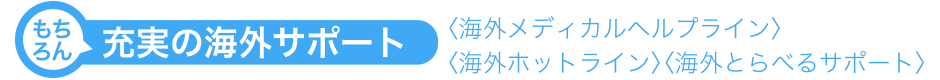 もちろん 充実の海外サポート