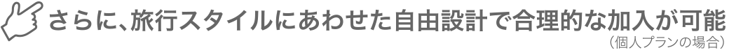 さらに、旅行スタイルにあわせた自由設計で合理的な加入が可能 （個人プランの場合）