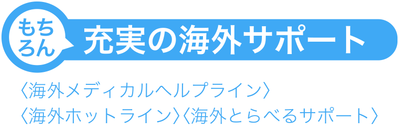 もちろん 充実の海外サポート