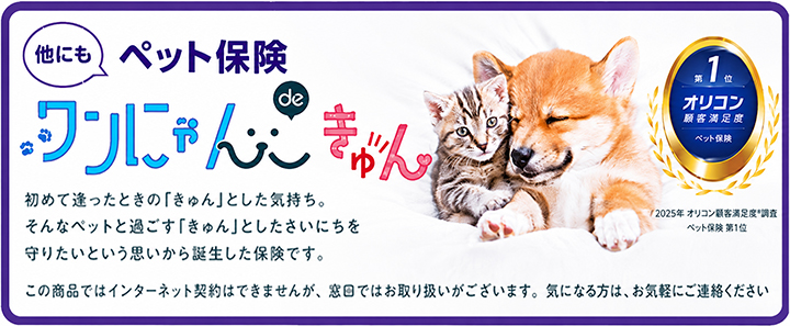 ペット保険